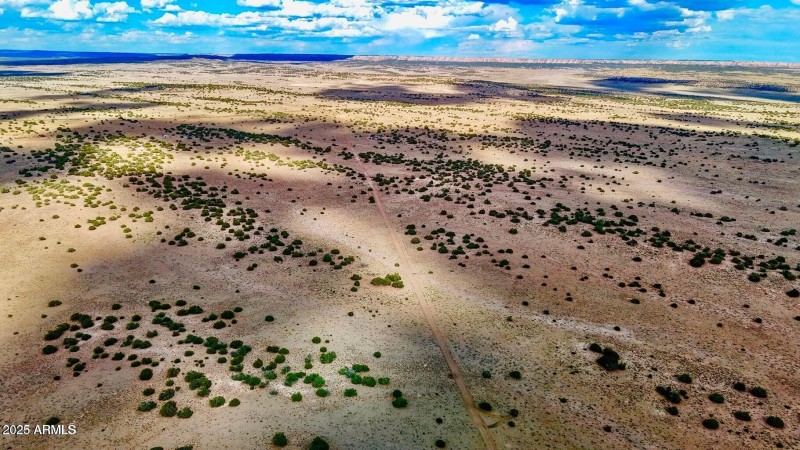 20250815021558854696000000-o