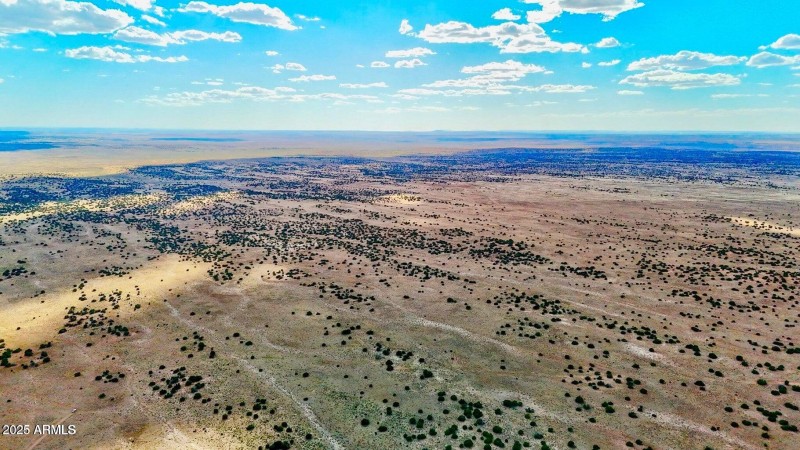 20250815021548635844000000-o