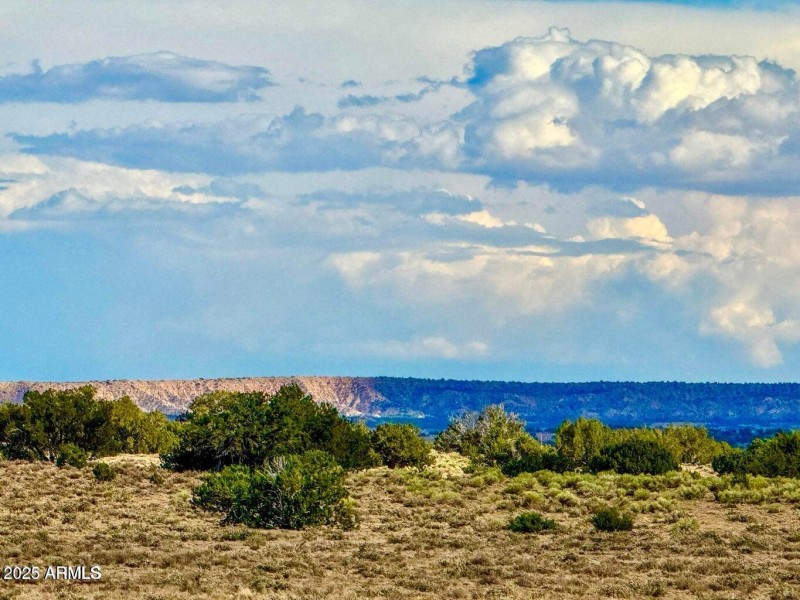 20250815022554650739000000-o