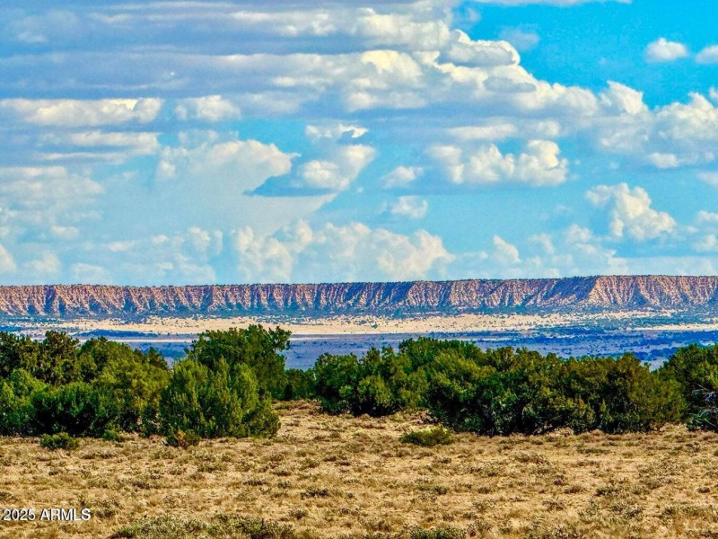 20250815022352955303000000-o