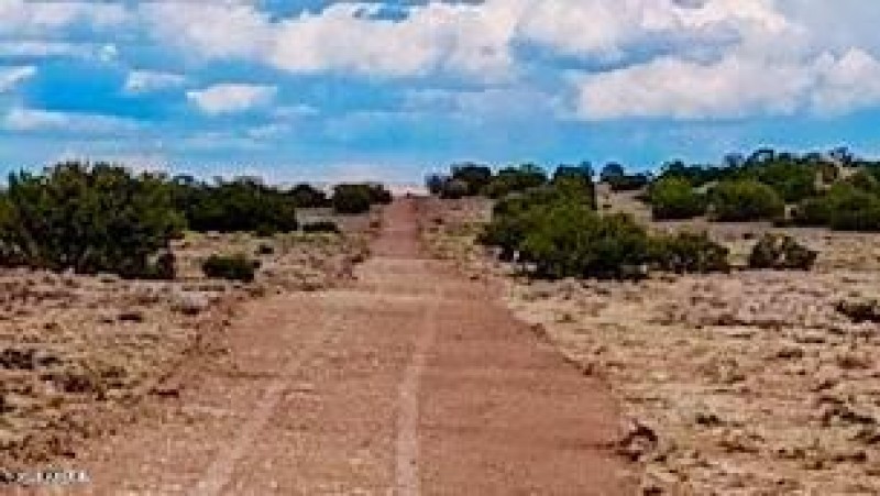 20250815021952351920000000-o