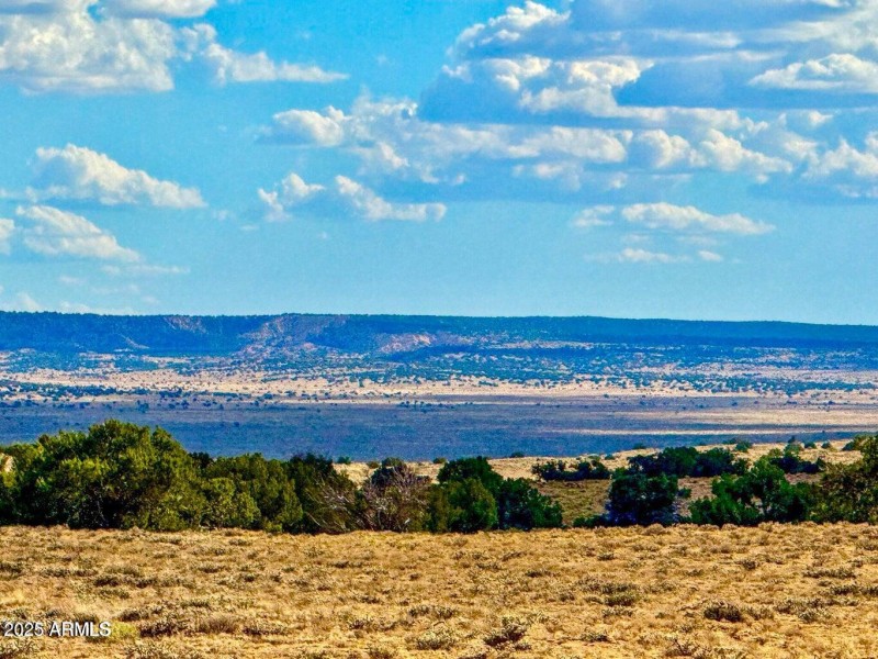 20250815022451256324000000-o