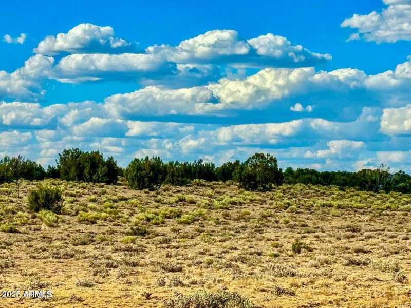 20250815025219246745000000-o