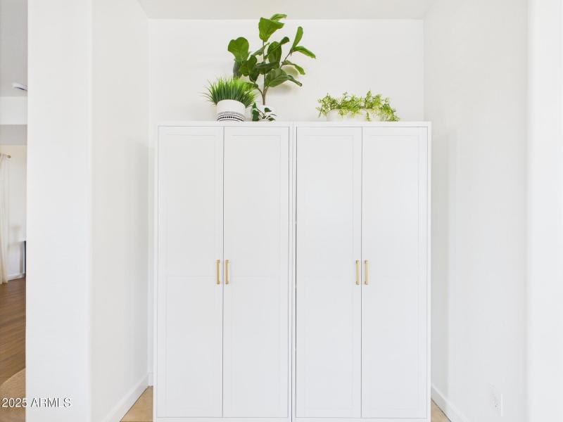 Sleek Storage Cabinet