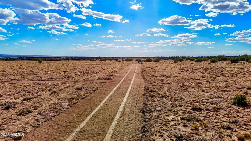 20250815022021834160000000-o