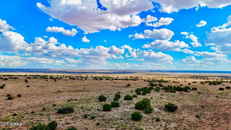 20250815021736999057000000-o