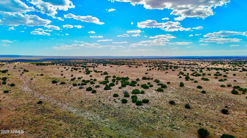 20250815021650498661000000-o