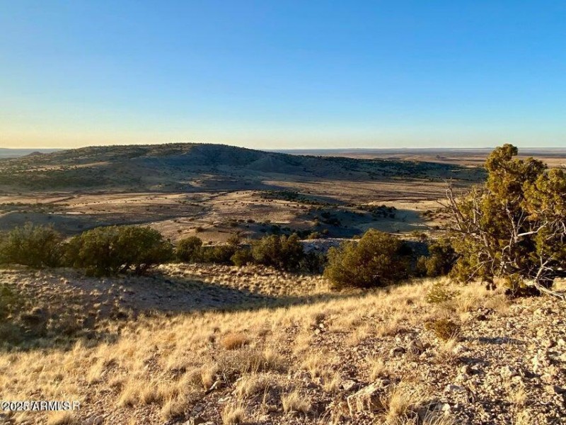 20250814075206376836000000-o