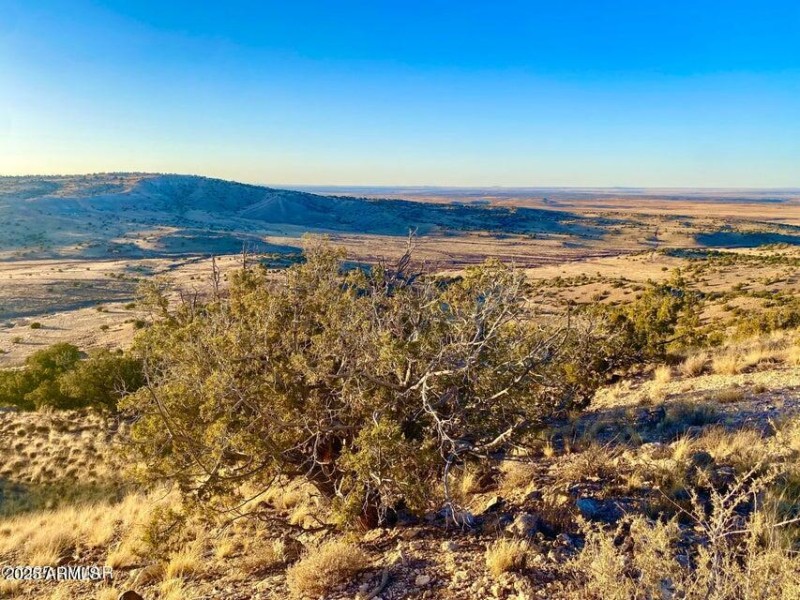 20250814075206679735000000-o