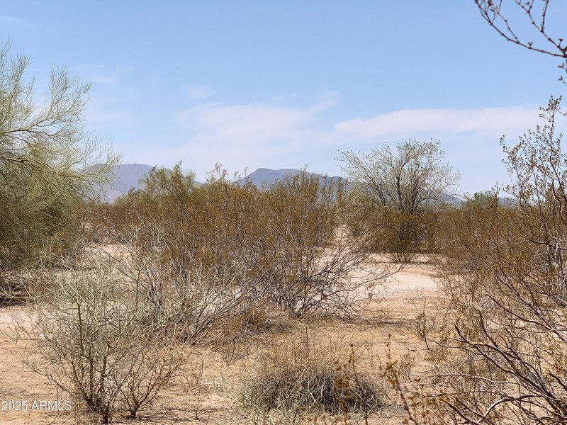 Grab your piece of the Country Today!