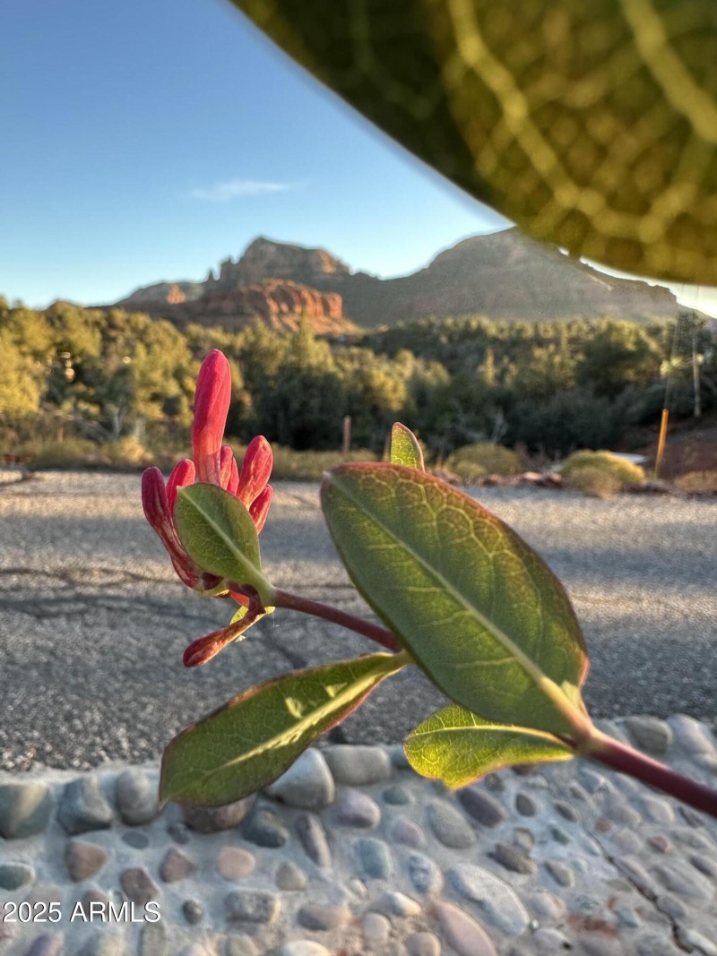 1D408A29-9827-42D4-906A-DCFD348AFCA3