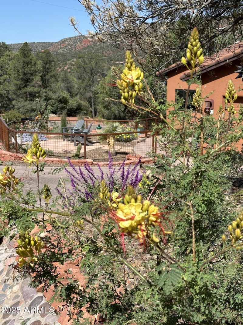 CAEE46C1-B87B-49B9-A358-AF8DC1473624