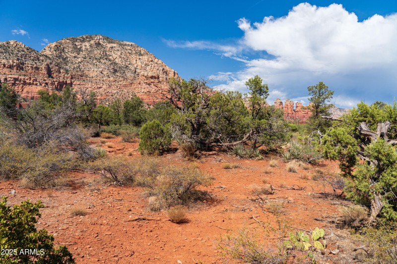 JL_640RhapsodyRd-ground-04