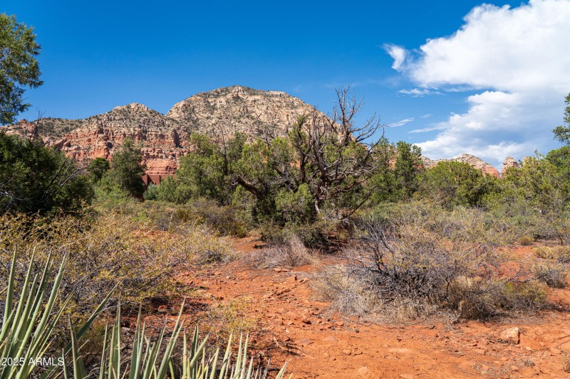 JL_650RhapsodyRd-ground-02