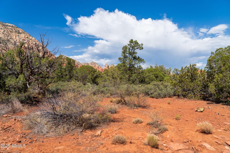 JL_650RhapsodyRd-ground-03