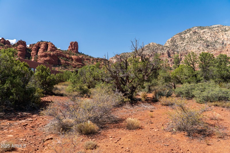 JL_650RhapsodyRd-ground-05