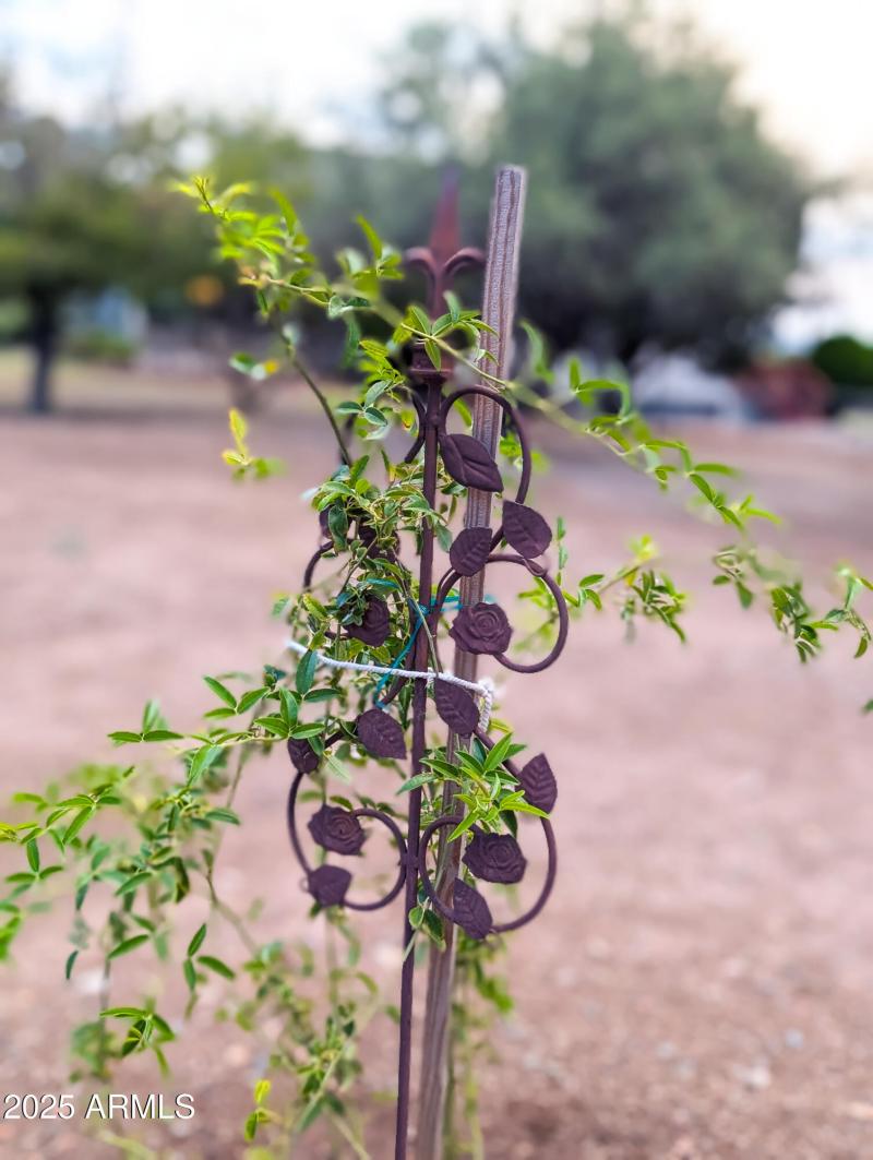 5200 Spencer Tr Camp Verde, AZ -82