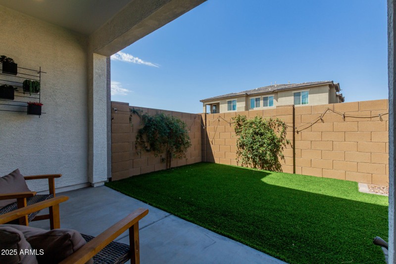 back yard