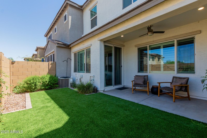 back yard