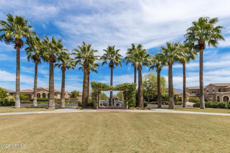 0023-39 - Black Rock