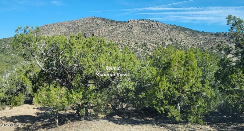 thumbnail_20250807_090618