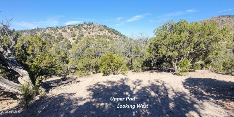 thumbnail_20250807_090658