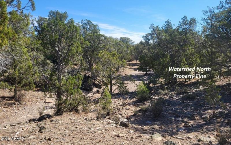 thumbnail_20250807_091424