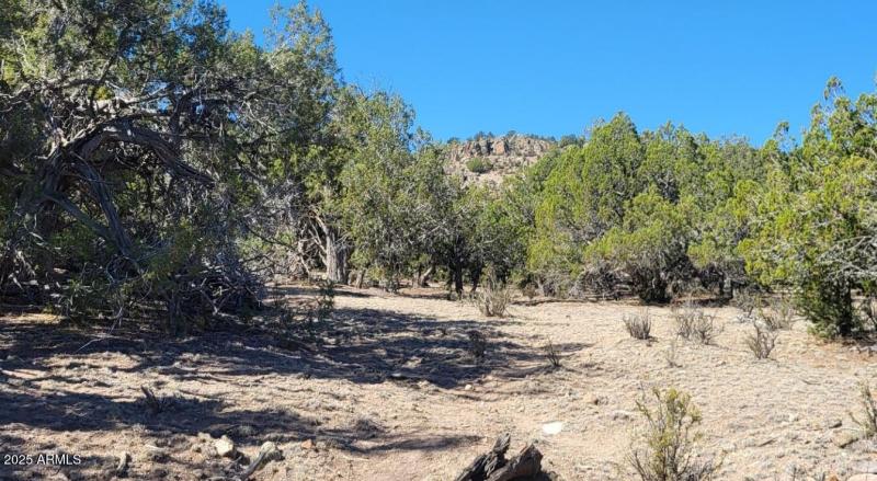 thumbnail_20250807_091441