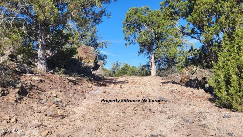 thumbnail_20250807_091731