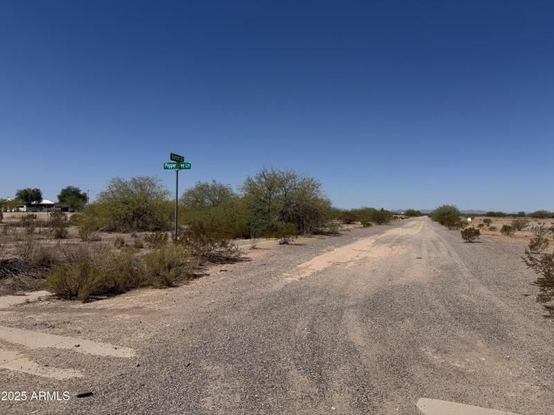 View from Pepper Tree