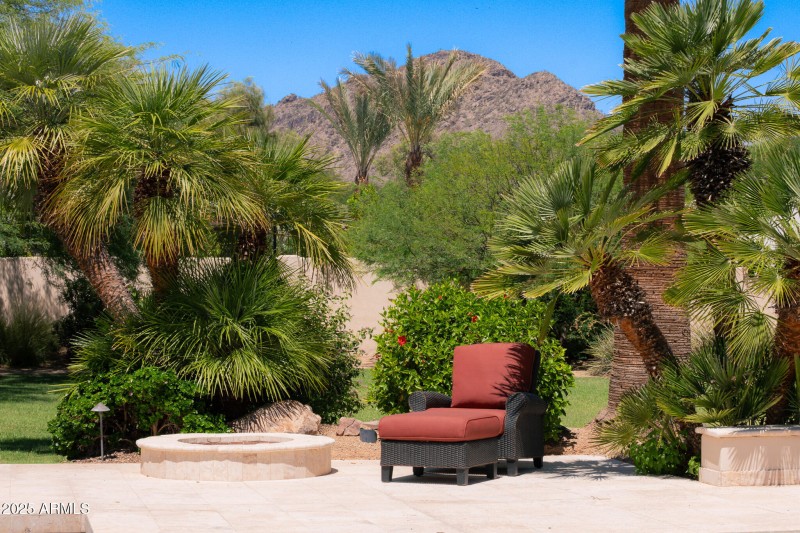 backyard views from casita bedroom