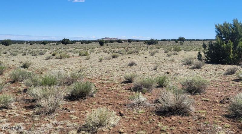 thumbnail_20250428_101311