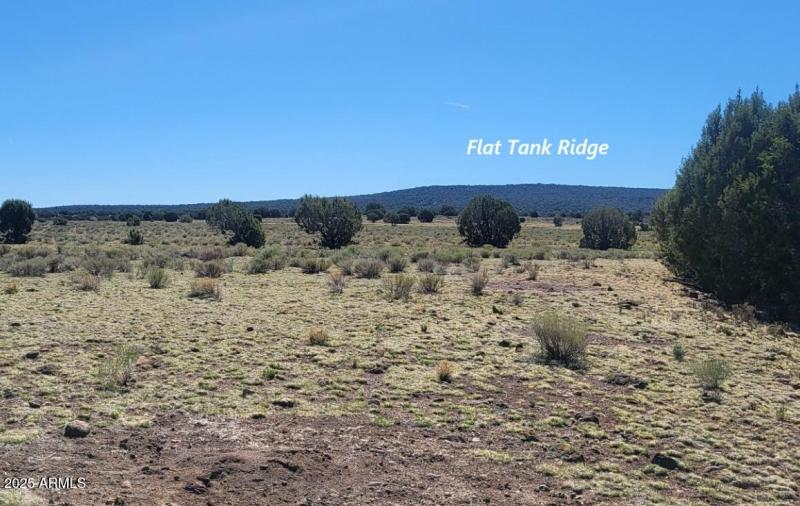 thumbnail_20250428_101325