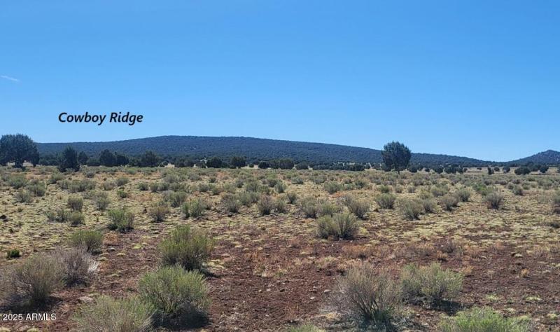 thumbnail_20250428_102024