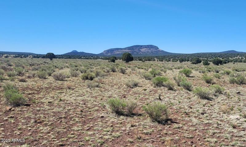 thumbnail_20250428_102029