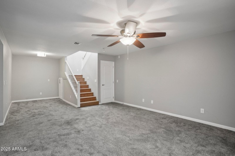 Basement Living Room