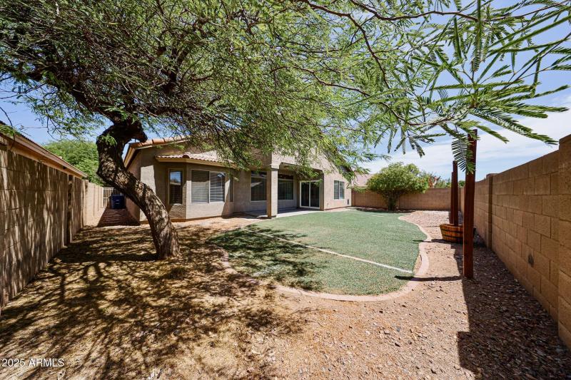 Natural Shade and Space