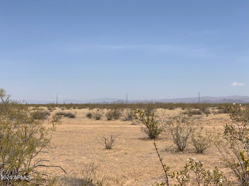 Escape the City Life!