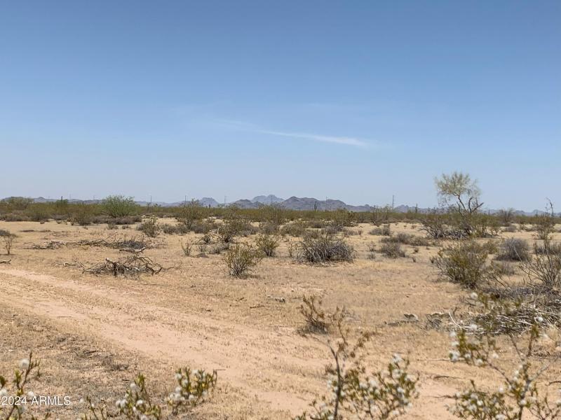 Come Home to the Country!