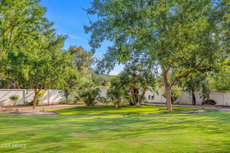 71expansive backyard with mountain views