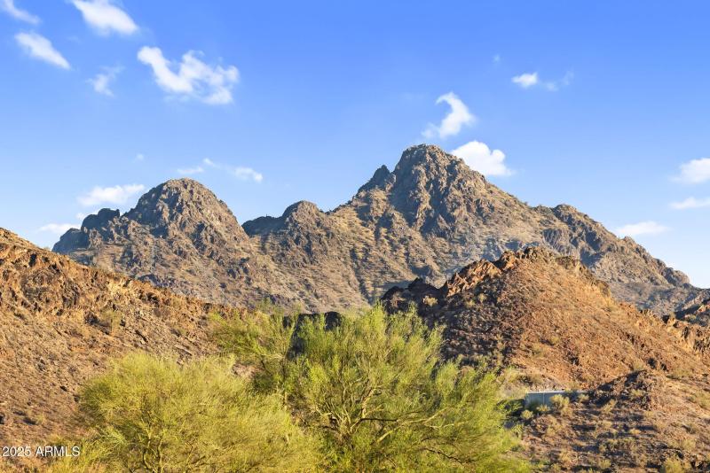 172-web-or-mls-17th-11