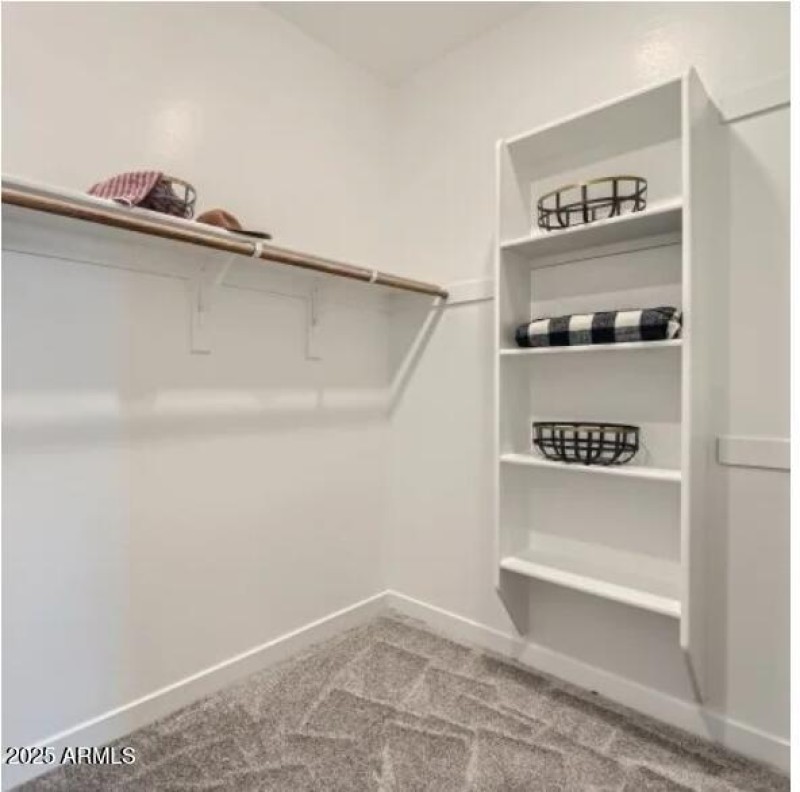 Owners Walk in Closet