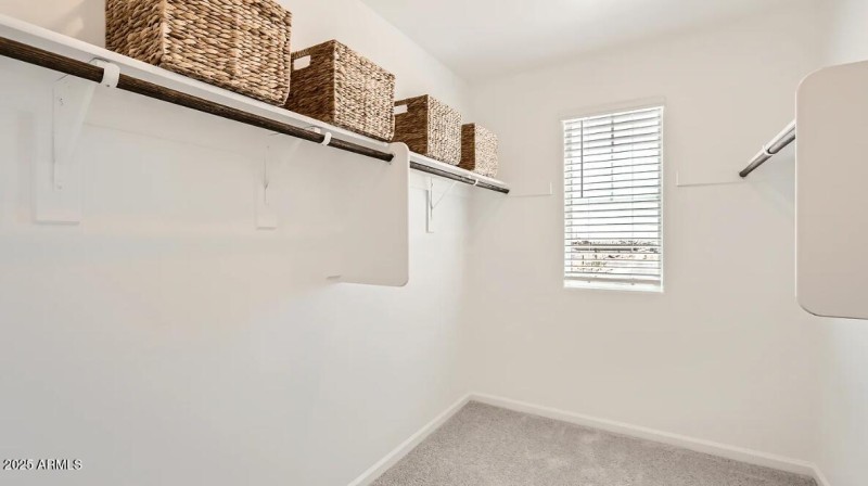 Owners Walk in Closet