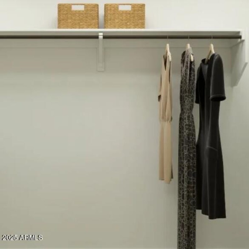 Owners Walk in Closet