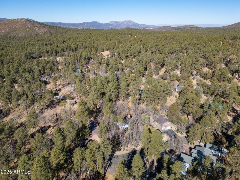 13-web-or-mls-4196-s-coburn-dr