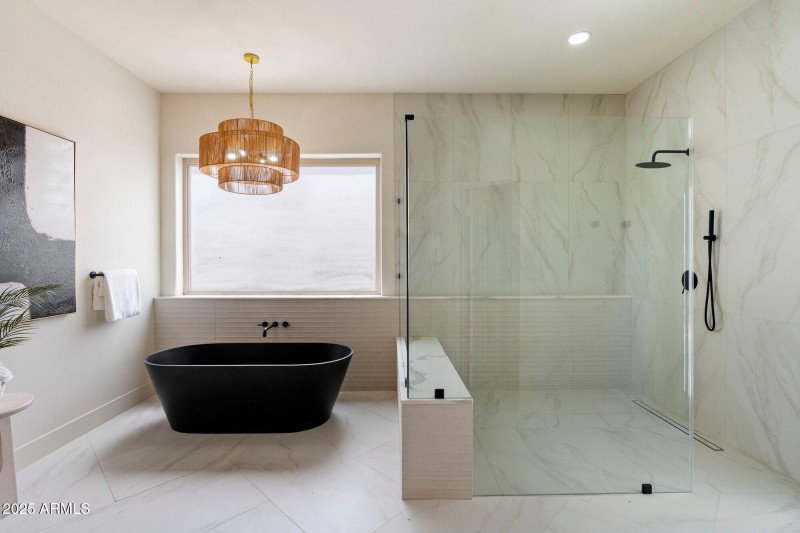 Primary Tub and Shower