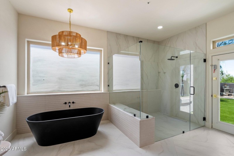 Primary Tub and Shower 2