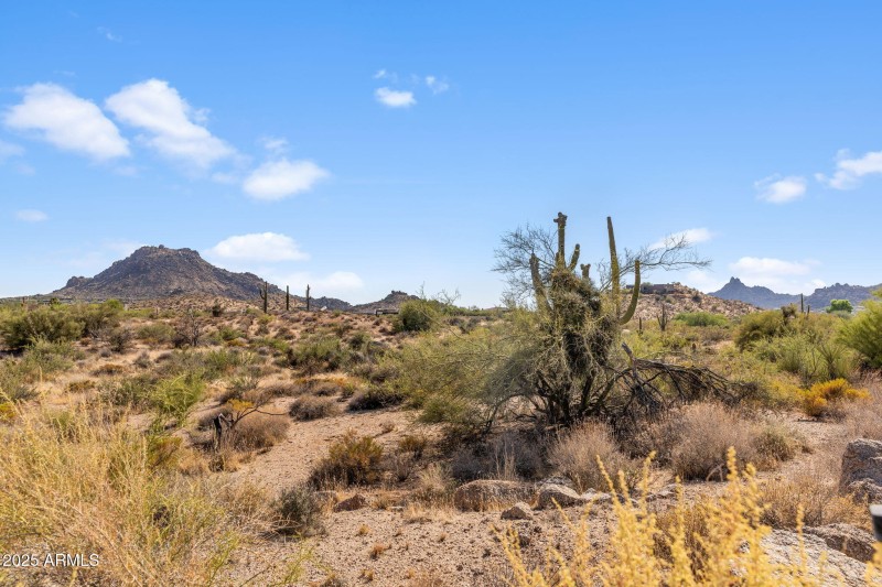 4-web-or-mls-IMG_1428