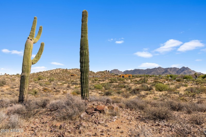 8-web-or-mls-IMG_1456