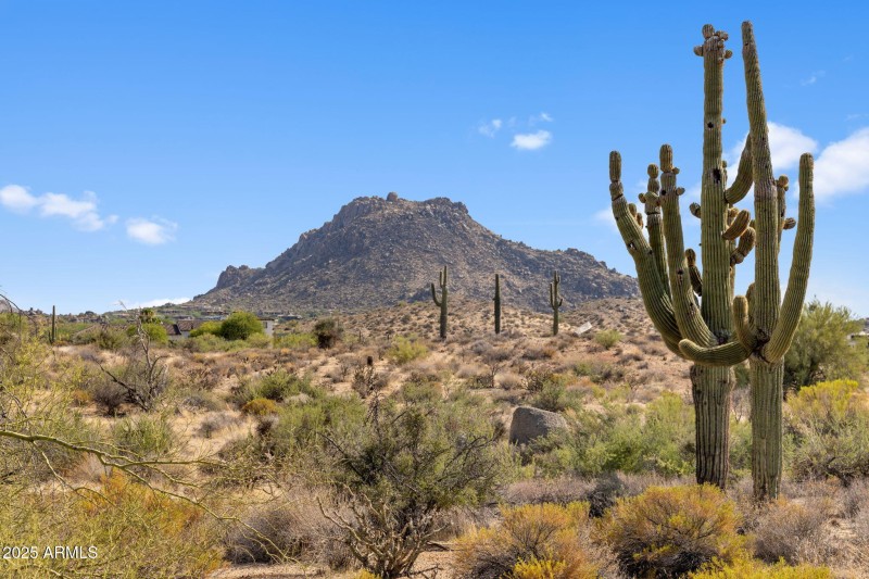 1-web-or-mls-IMG_1421